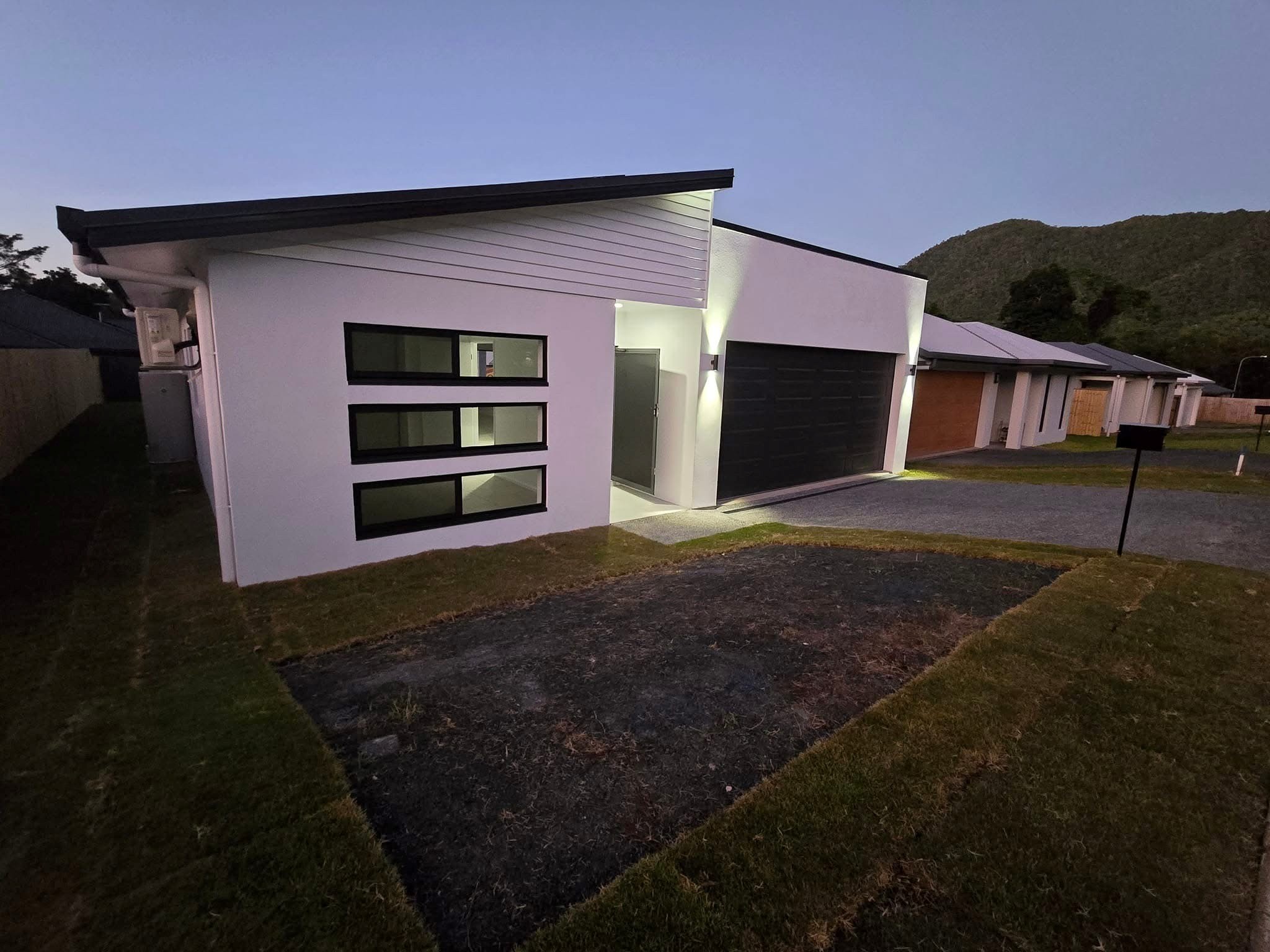 Lush Professional Painting Project 1